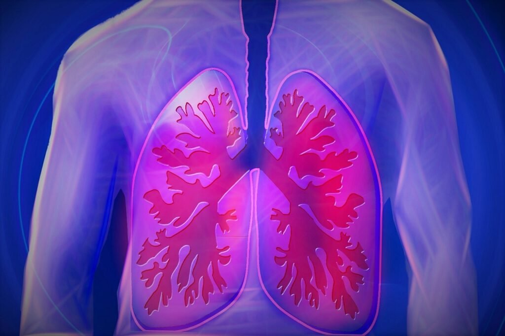 lungs-diagram