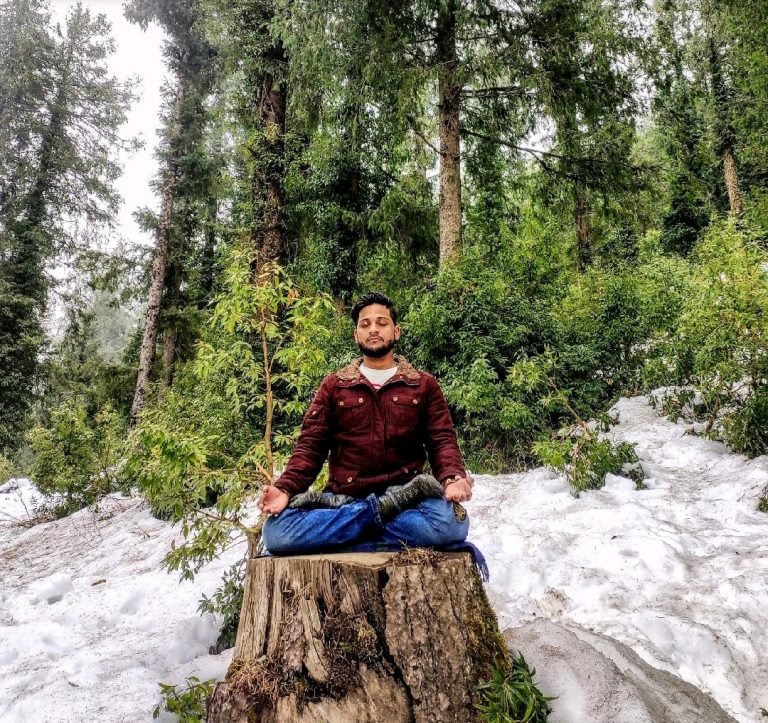 meditation-on-a-chopped-tree