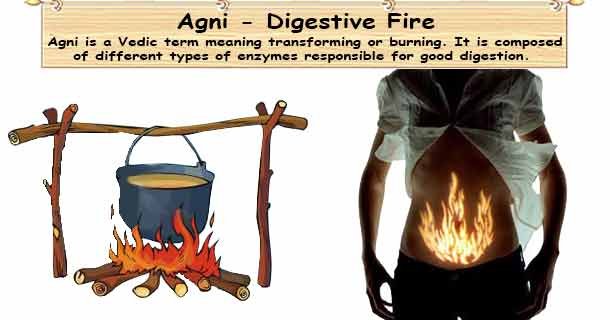 ayurveda-agni-metabolic-digestive-fire