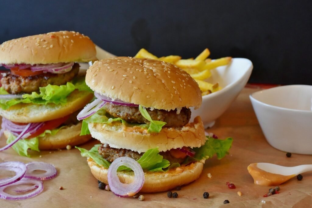 burger-junk-food