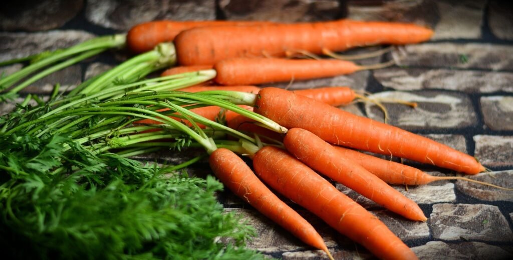 carrots-for-weight-loss